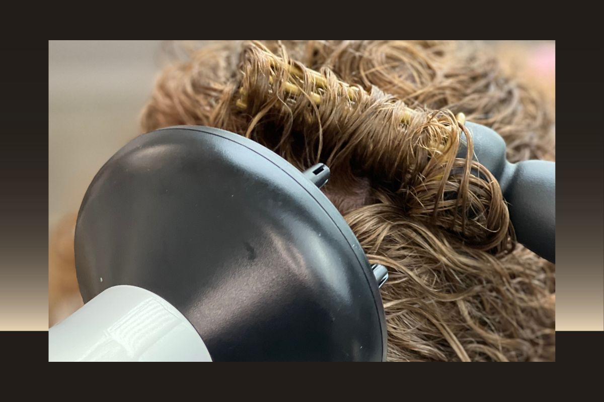 Why the AuBonacci Styler? - Curly Life Company